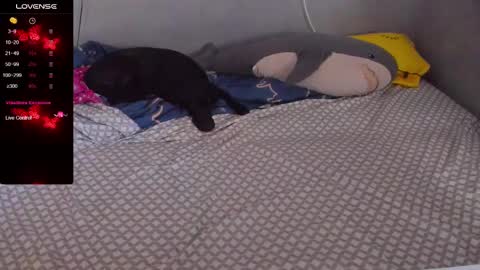 Eva online show from February 20, 2025, 12:57 pm