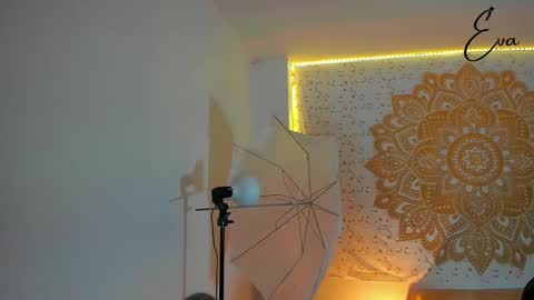 Snapshot of evarmirezz chatting on December 31, 2024, 1:47 am Eva Rmirezz online show from December 31, 2024, 1:47 am