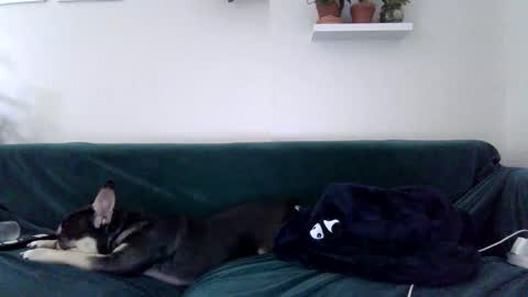 Badblondebunny online show from October 27, 2025, 11:41 pm