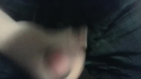 Snapshot of evolite_ chatting on February 14, 2025, 7:49 am evolite_ online show from February 14, 2025, 7:49 am