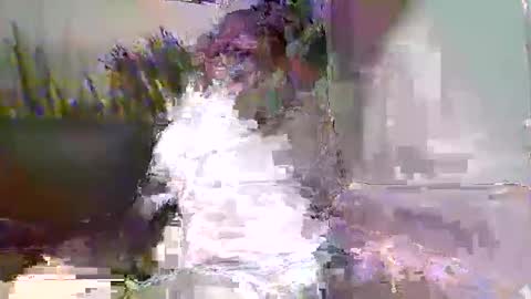 Naaktloper online show from February 9, 2026, 3:49 pm