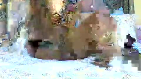 Snapshot of explicitly_certified chatting on March 3, 2025, 7:49 pm explicitly_certified online show from March 3, 2025, 7:49 pm