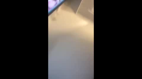 eyelyke2kream online show from September 8, 2025, 7:13 pm