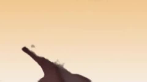 Snapshot of fabinou32 chatting on November 22, 2025, 2:49 pm fabinou32 online show from November 22, 2025, 2:49 pm