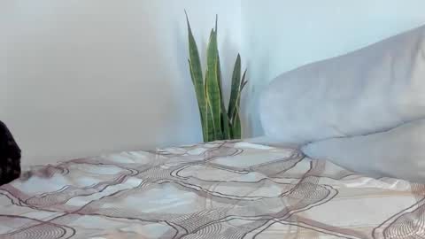 Snapshot of fabrizio_amery chatting on January 11, 2026, 2:00 pm - A N D E R online show from January 11, 2026, 2:00 pm