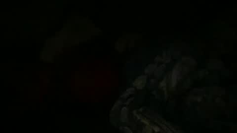 FABX online show from January 6, 2025, 9:22 pm