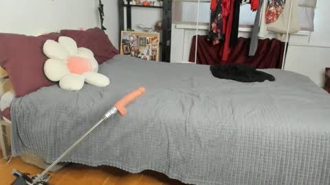 Snapshot of faeriehaze chatting on February 19, 2026, 1:29 pm Kai online show from February 19, 2026, 1:29 pm