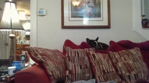 fairmount31 online show from November 1, 2025, 10:12 pm