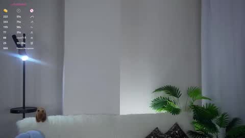 Snapshot of fallingflower chatting on February 6, 2026, 2:42 pm Kim online show from February 6, 2026, 2:42 pm