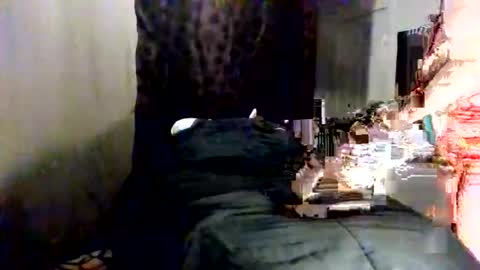 Fancie8 online show from June 8, 2026, 10:54 pm