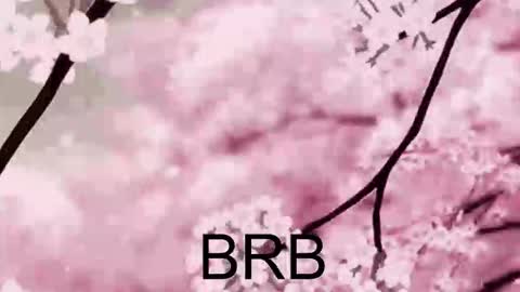 Anna Scovich online show from October 10, 2025, 1:43 pm