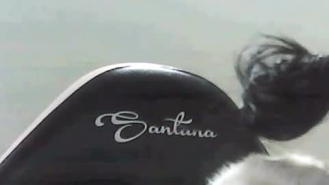 farianna_hot online show from May 2, 2026, 10:26 pm