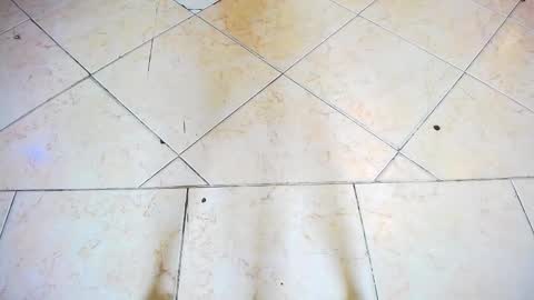 fartech online show from September 28, 2025, 2:44 pm