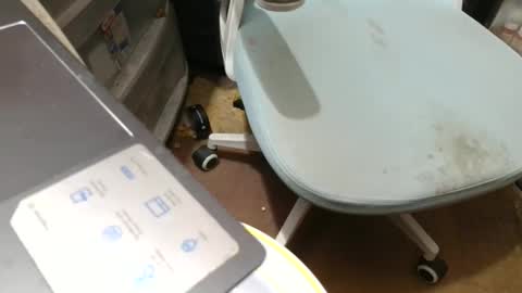 Fred. online show from November 7, 2025, 8:53 pm