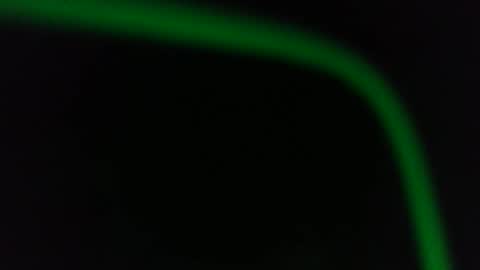 Snapshot of fatfreddythecat chatting on January 13, 2026, 12:49 am Fred. online show from January 13, 2026, 12:49 am