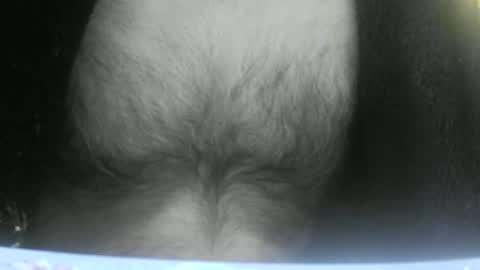 Snapshot of feardubh chatting on February 10, 2025, 9:04 am feardubh online show from February 10, 2025, 9:04 am