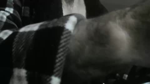 Snapshot of feardubh chatting on October 31, 2025, 9:43 am feardubh online show from October 31, 2025, 9:43 am