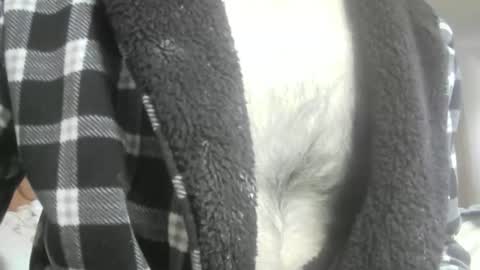 Snapshot of feardubh chatting on February 16, 2026, 10:44 am feardubh online show from February 16, 2026, 10:44 am