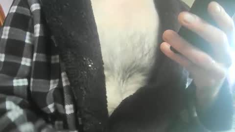 Snapshot of feardubh chatting on February 20, 2026, 11:43 am feardubh online show from February 20, 2026, 11:43 am