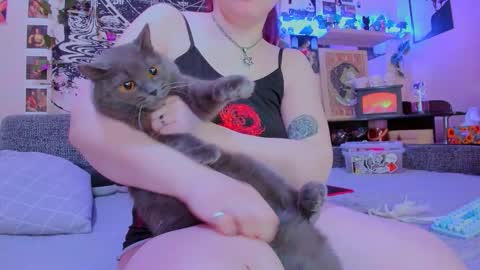 Diva online show from February 4, 2026, 2:06 am