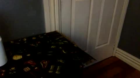 Snapshot of feetlover1888386 chatting on February 8, 2026, 1:03 pm HairyBrownGuy online show from February 8, 2026, 1:03 pm