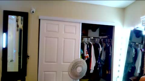 Snapshot of femboy_allie chatting on December 11, 2024, 8:04 am Allie North online show from December 11, 2024, 8:04 am