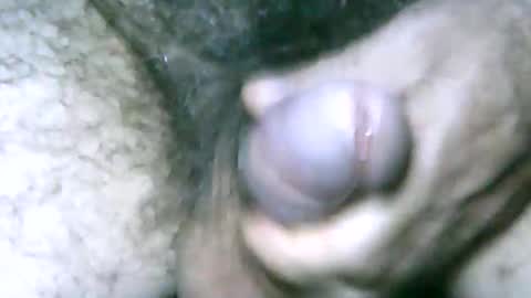 Snapshot of fer_2197 chatting on January 1, 2025, 4:29 pm fer_2197 online show from January 1, 2025, 4:29 pm