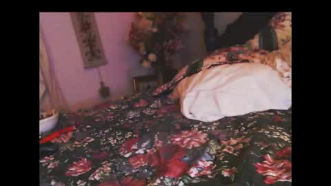 ferra_testarossa online show from November 5, 2025, 3:17 am