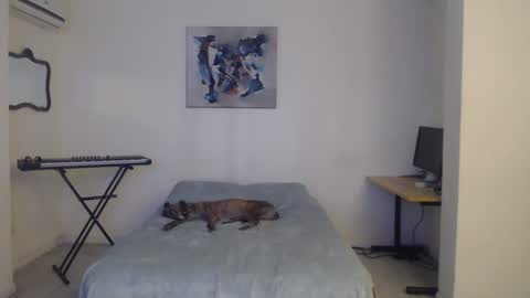 Snapshot of feuerfree chatting on February 28, 2025, 12:09 pm FeuerHeat online show from February 28, 2025, 12:09 pm