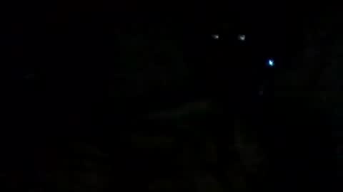 filippo online show from September 14, 2025, 9:41 am