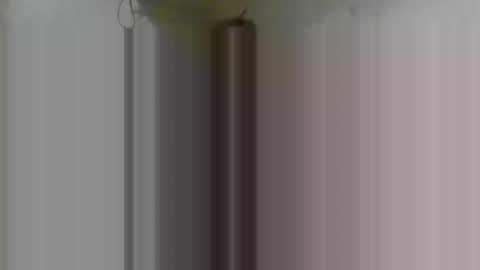 FirstTimeFeak online show from February 8, 2026, 4:38 am