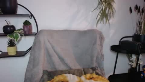 Snapshot of fitness1989 chatting on July 20, 2026, 8:55 pm fitness1989 online show from July 20, 2026, 8:55 pm