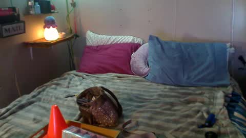 Snapshot of flopikin69 chatting on December 22, 2024, 9:09 pm Eisha online show from December 22, 2024, 9:09 pm