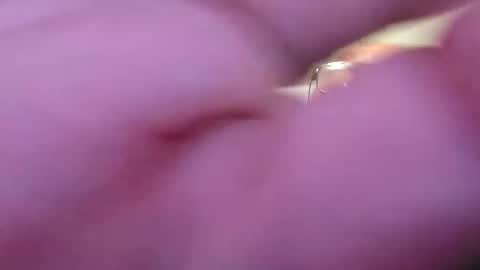 Snapshot of focusfuker chatting on November 14, 2025, 11:13 pm focusfuker online show from November 14, 2025, 11:13 pm