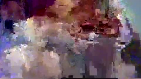 forest133 online show from December 12, 2024, 7:59 pm