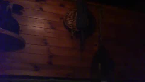 forest133 online show from September 30, 2025, 8:58 pm