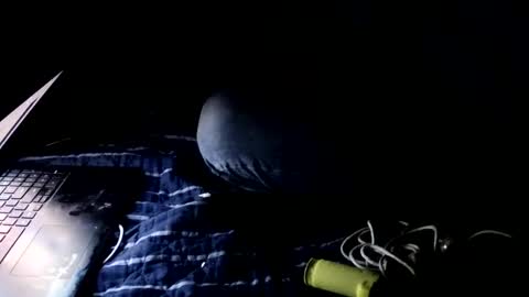 forestnymphpdx online show from October 22, 2025, 2:01 am