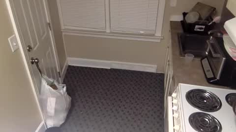 Snapshot of foxdarling96 chatting on December 20, 2025, 5:36 am foxdarling96 online show from December 20, 2025, 5:36 am