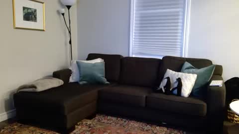 Snapshot of foxybaby_ chatting on October 7, 2025, 12:52 am Foxy online show from October 7, 2025, 12:52 am