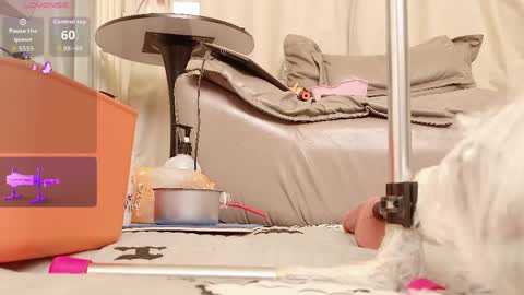 yiyi online show from April 14, 2026, 7:58 am