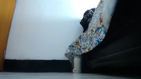franklinm_7777 online show from November 12, 2025, 4:57 am
