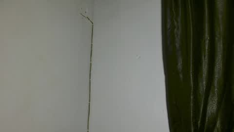 luna online show from April 3, 2026, 3:26 am