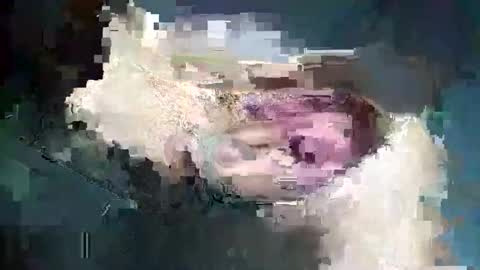 fredddy05 online show from November 25, 2025, 5:51 am