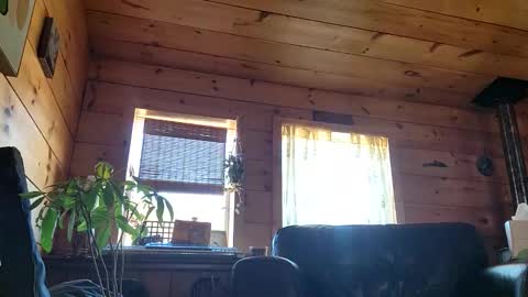 Snapshot of frederickory chatting on March 1, 2026, 8:22 pm Anderson fz online show from March 1, 2026, 8:22 pm