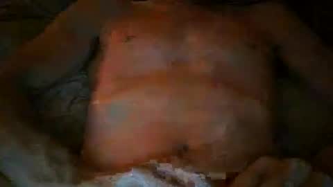 free willy online show from November 17, 2025, 4:46 pm