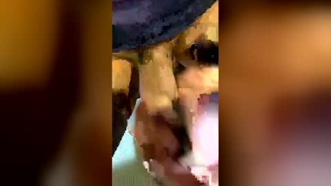 freestpeople online show from April 14, 2026, 1:55 am