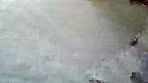 frenchpapalover online show from December 5, 2024, 12:33 pm