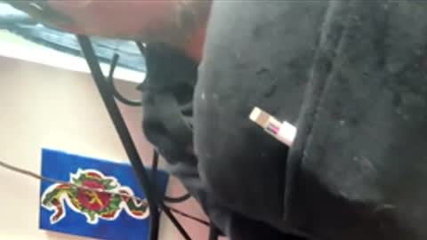 ftm_0 online show from December 17, 2025, 6:25 pm