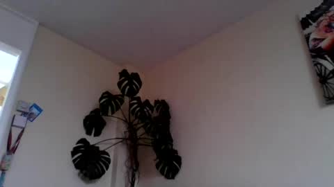 funn333222 online show from June 15, 2026, 10:28 am