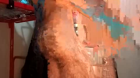 Italian men online show from February 2, 2025, 2:24 pm